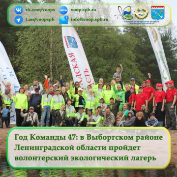 Год Команды 47: в Выборгском районе Ленинградской области пройдет волонтерский экологический лагерь