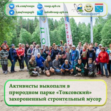 Активисты выкопали в природном парке «Токсовский» захороненный строительный мусор