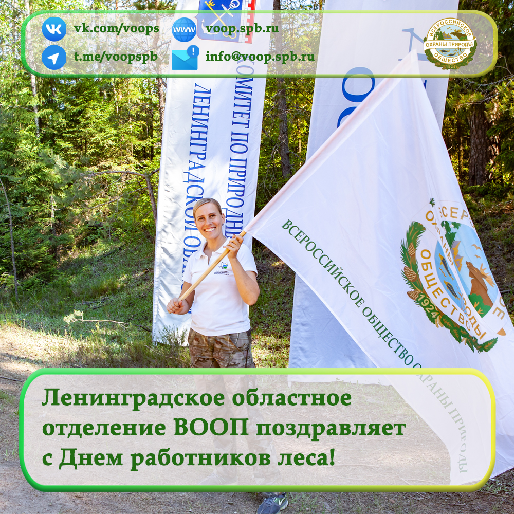 Ленинградское областное   отделение ВООП поздравляет   с Днем работников леса!