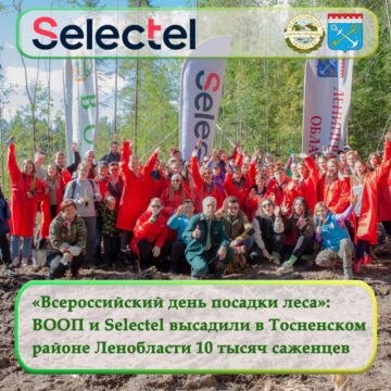 «Всероссийский день посадки леса»:  ВООП и Selectel высадили в Тосненском районе Ленобласти 10 тысяч саженцев