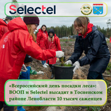 «Всероссийский день посадки леса»: ВООП и Selectel высадят в Тосненском районе Ленобласти 10 тысяч саженцев