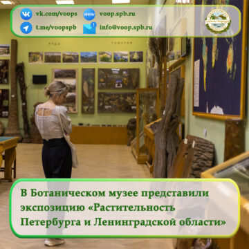 В Ботаническом музее представили экспозицию «Растительность Санкт-Петербурга и Ленинградской области»
