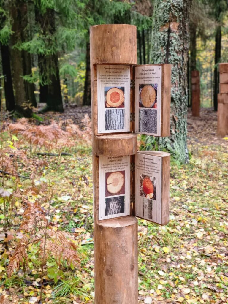 Экологическую тропу «Юкковские  камы» торжественно откроют 25 октября во Всеволожском районе