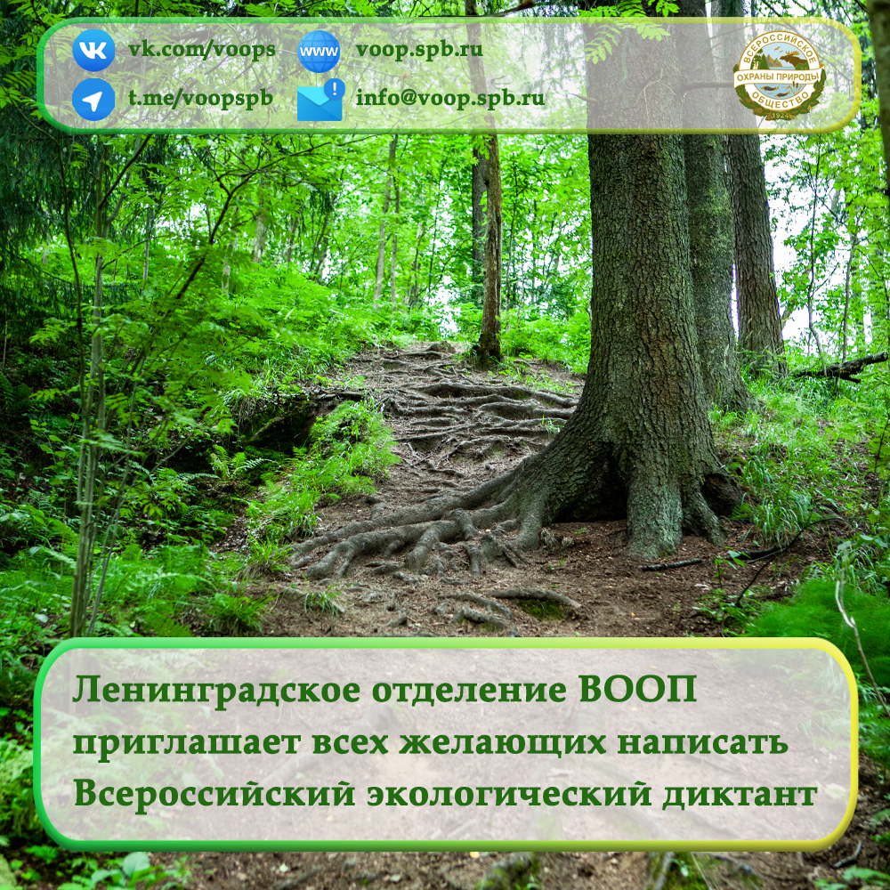 Ленинградское отделение ВООП  приглашает всех желающих написать Всероссийский экологический диктант