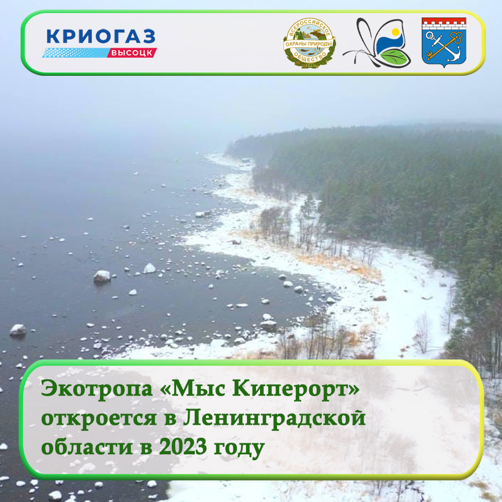 Экотропа «Мыс Киперорт» откроется в Ленинградской области в 2023 году