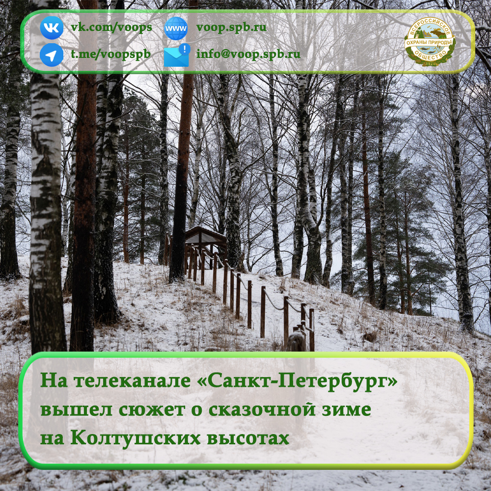 На телеканале «Санкт-Петербург» вышел сюжет о сказочной зиме на Колтушских  высотах