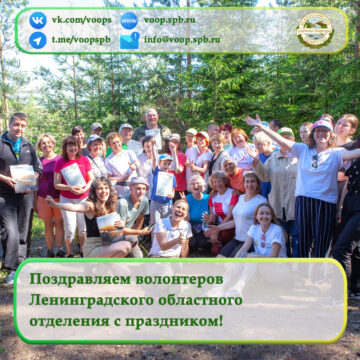 Поздравляем волонтеров Ленинградского областного отделения с праздником!