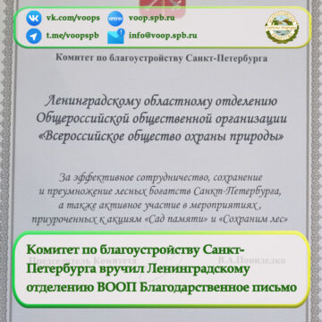 Комитет по благоустройству Санкт- Петербурга вручил Ленинградскому  отделению ВООП Благодарственное письмо