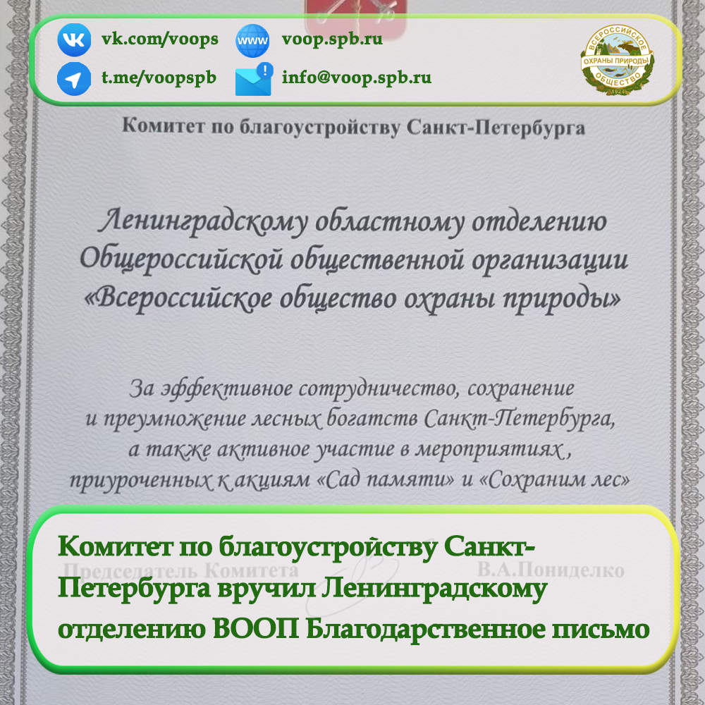 Комитет по благоустройству Санкт- Петербурга вручил Ленинградскому  отделению ВООП Благодарственное письмо