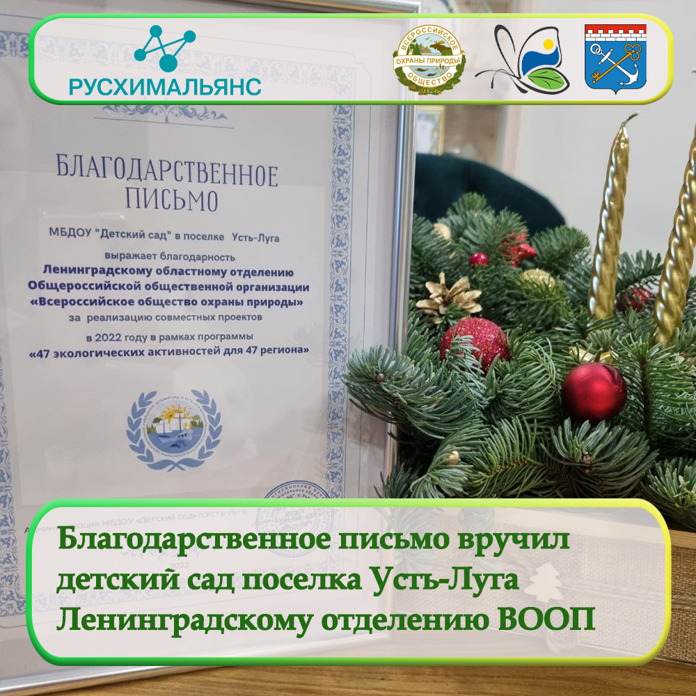 Благодарственное письмо вручил детский сад поселка Усть-Луга Ленинградскому отделению ВООП