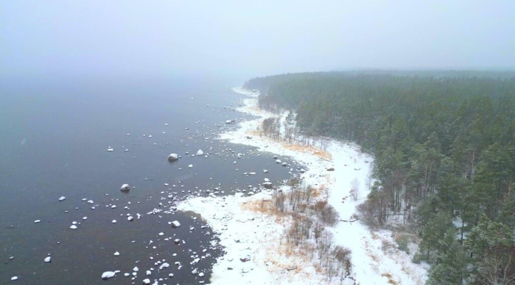 Экологический маршрут «Мыс Киперорт» стал победителем конкурса «Лучшие в туризме в Ленинградской области»