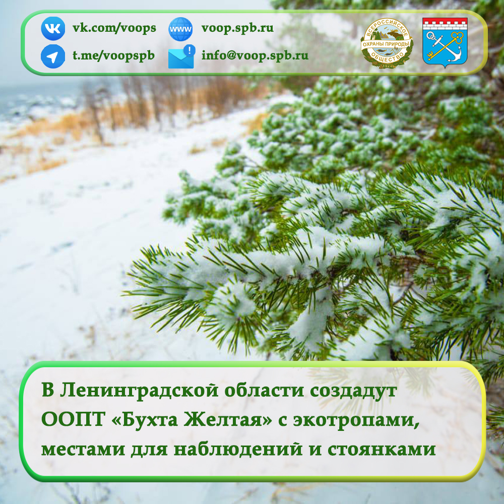 В Ленинградской области создадут  ООПТ «Бухта Желтая» с экотропами,  местами для наблюдений и стоянками