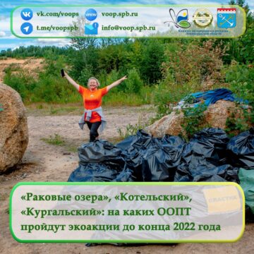 «Кургальский»: на каких ООПТ Ленинградской области пройдут экологические акции до конца 2022 года