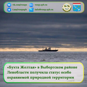 «Бухта Желтая» в Выборгском районе Ленобласти получила статус особо охраняемой природной территории