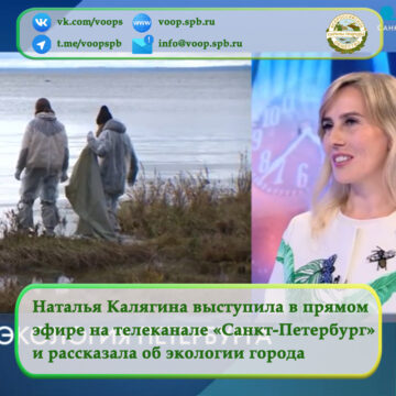 Наталья Калягина выступила в прямом эфире на телеканале «Санкт-Петербург» и рассказала об экологии Северной столицы
