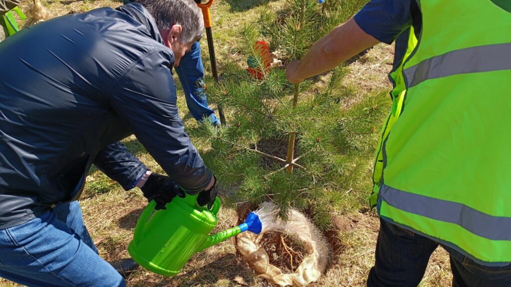 Санкт-Петербургское городское отделение ВООП участвовало в посадке памятных сосен на «Сестрорецком рубеже»