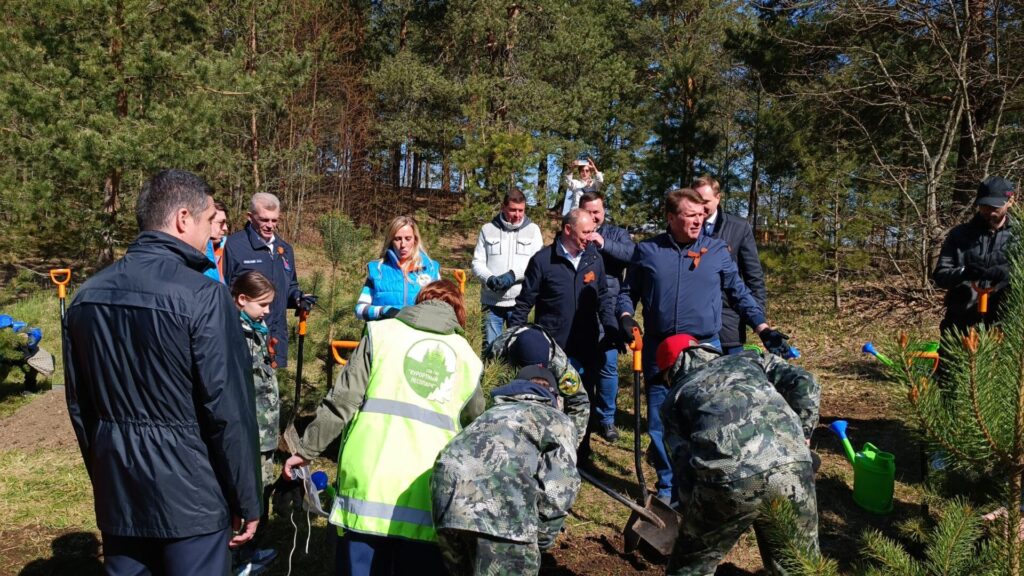 Санкт-Петербургское городское отделение ВООП участвовало в посадке памятных сосен на «Сестрорецком рубеже»