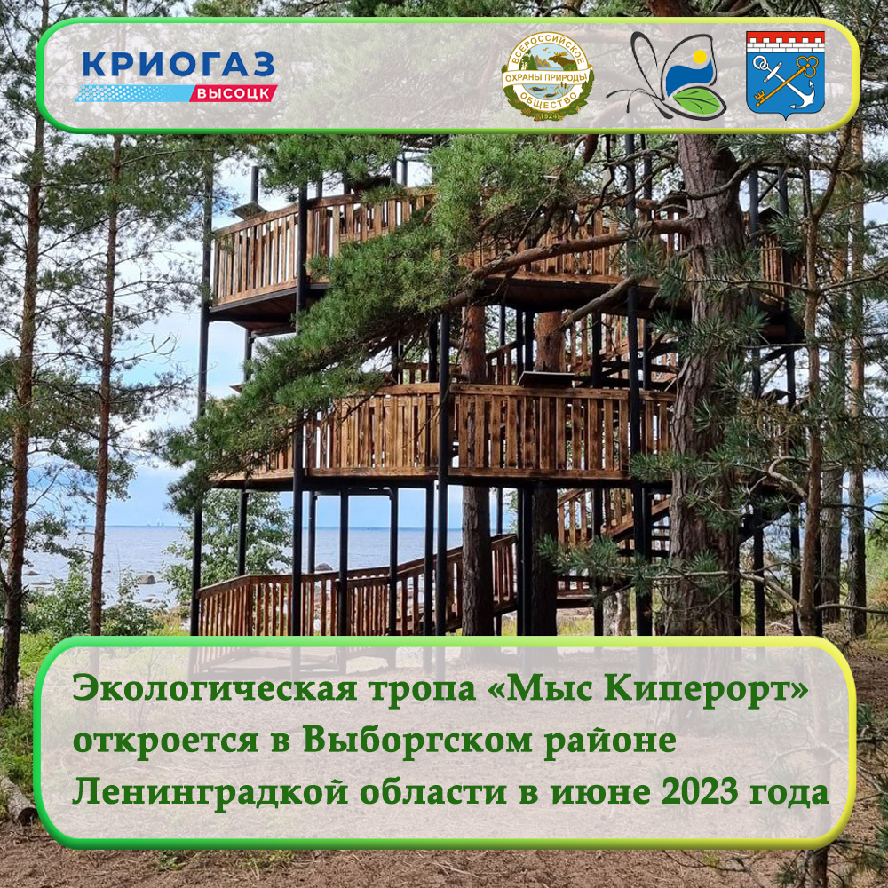 Экологическая тропа «Мыс Киперорт» откроется в Выборгском районе  Ленинградской области в июне 2023 года