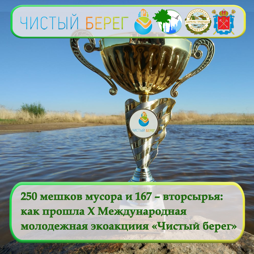 250 мешков мусора и 167 мешков вторсырья: как прошла X Международная молодежная экологическая акция «Чистый берег»