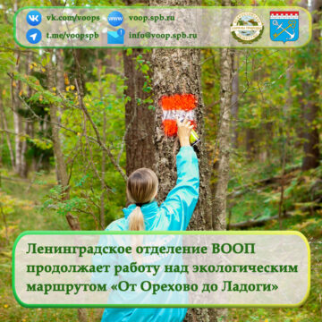 Ленинградское отделение ВООП продолжает работу над экологическим маршрутом «От Орехово до Ладоги»