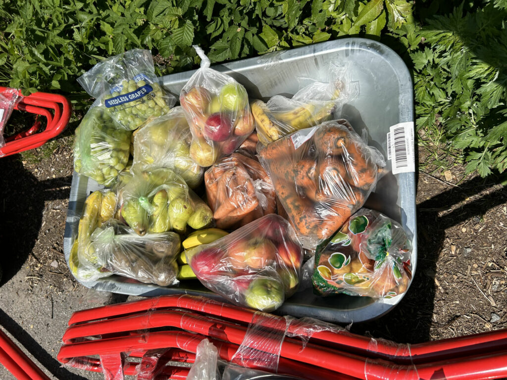 «74 экологические активности для 47 региона»: для подопечных «Велеса» передано 30 кг фруктов и около 1 тонны веточного корма