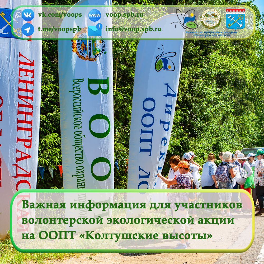 Важная информация для участников волонтерской экологической акции на ООПТ «Колтушские высоты»