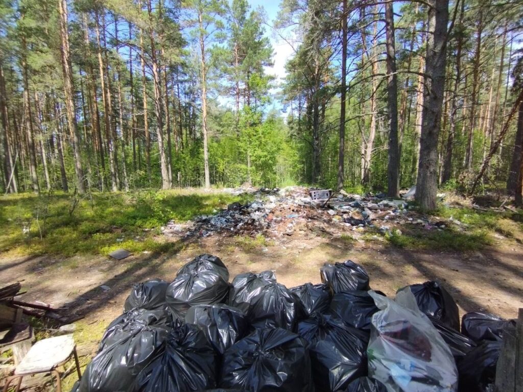 Волонтеры ВООП за три дня разобрали свалку на острове Большой Березовый