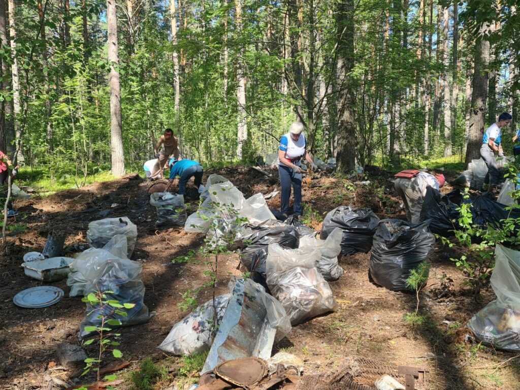 Волонтеры эколагеря ВООП «Березовые острова» собрали около 50 тонн отходов