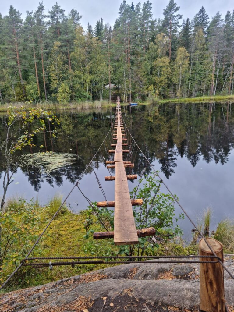 12-километровый экомаршрут создают на территории памятника природы «Озеро Ястребиное»