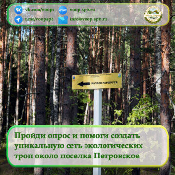 Пройди опрос и помоги создать уникальную сеть экологических троп около поселка Петровское