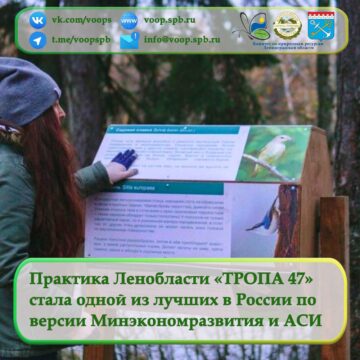 Практика Ленобласти «ТРОПА 47» стала одной из лучших в России по версии Минэкономразвития России и АСИ