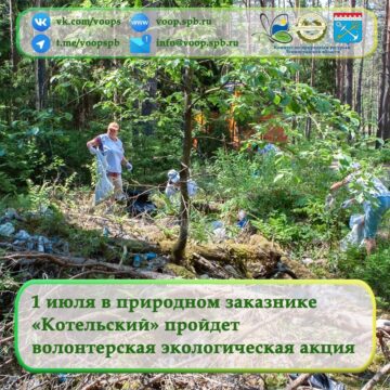 1 июля в природном заказнике «Котельский» пройдет волонтерская экологическая акция