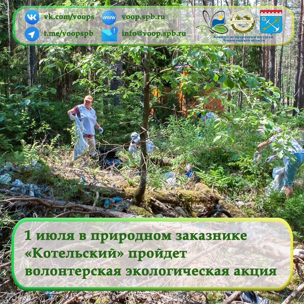 1 июля в природном заказнике «Котельский» пройдет волонтерская экологическая акция