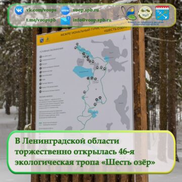 В Ленинградской области торжественно открылась 46-я экологическая тропа «Шесть озёр»