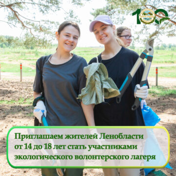 Приглашаем жителей Ленобласти от 14 до 18 лет стать участниками экологического волонтерского лагеря
