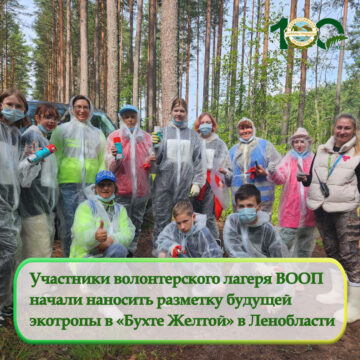 Участники волонтерского лагеря ВООП начали наносить разметку будущей экотропы в «Бухте Желтой»