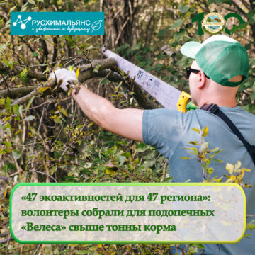 «47 экоактивностей для 47 региона»: волонтеры собрали для подопечных «Велеса» свыше тонны корма