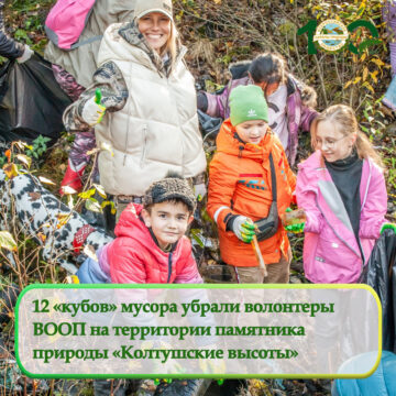 12 «кубов» мусора убрали волонтеры ВООП на территории памятника природы «Колтушские высоты»