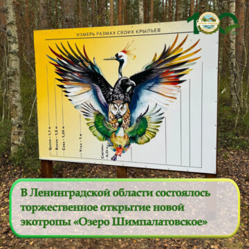 В Ленинградской области состоялось торжественное открытие новой экологической тропы «Озеро Шимпалатовское»