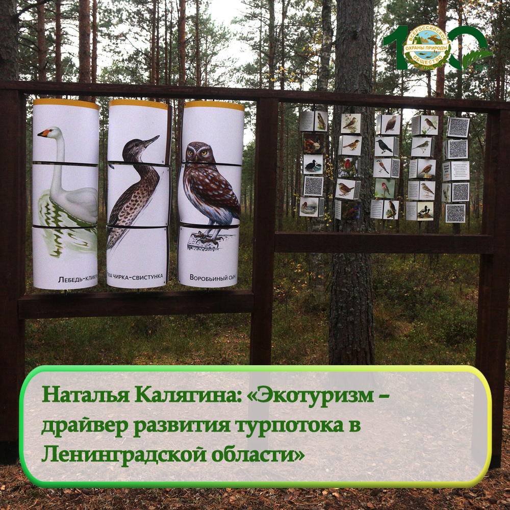 Наталья Калягина: «Экотуризм – драйвер развития турпотока в Ленинградской области»