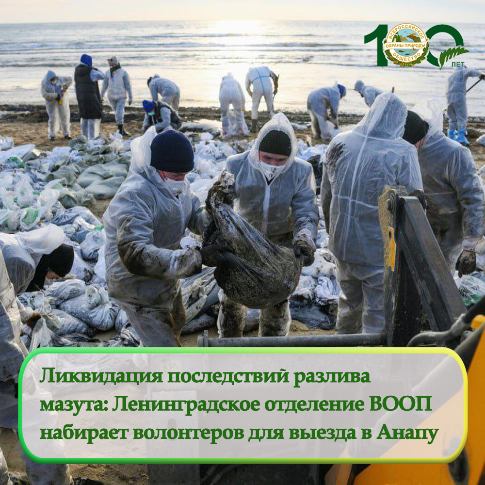 Ликвидация последствий разлива мазута: Ленинградское отделение ВООП набирает волонтеров для выезда в Анапу Ликвидация последствий разлива мазута: Ленинградское отделение ВООП набирает волонтеров для выезда в Анапу