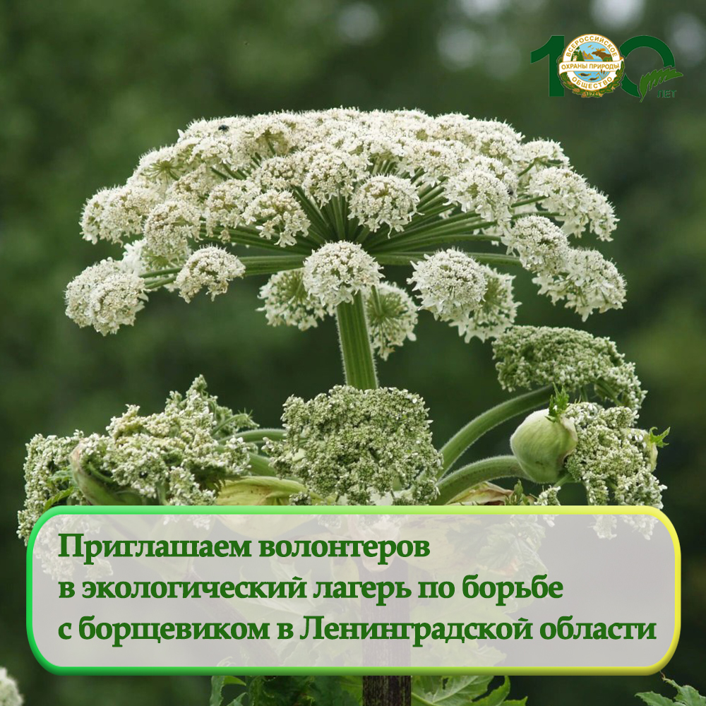 Продолжается прием заявок на участие в экологическом лагере Продолжается прием заявок на участие в экологическом лагере