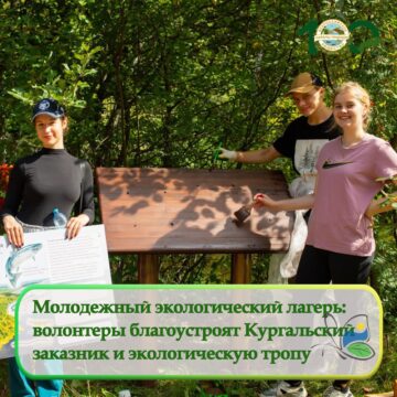 Молодежный экологический лагерь будет работать в июле в Кургальском заказнике