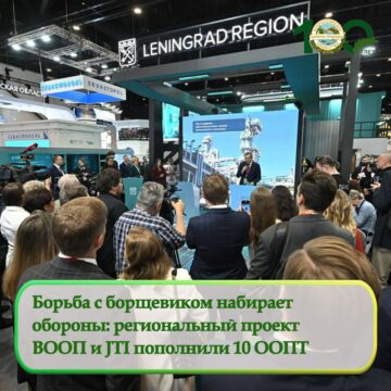Борьба с борщевиком набирает обороны: проект ВООП и JTI пополнили 10 ООПТ