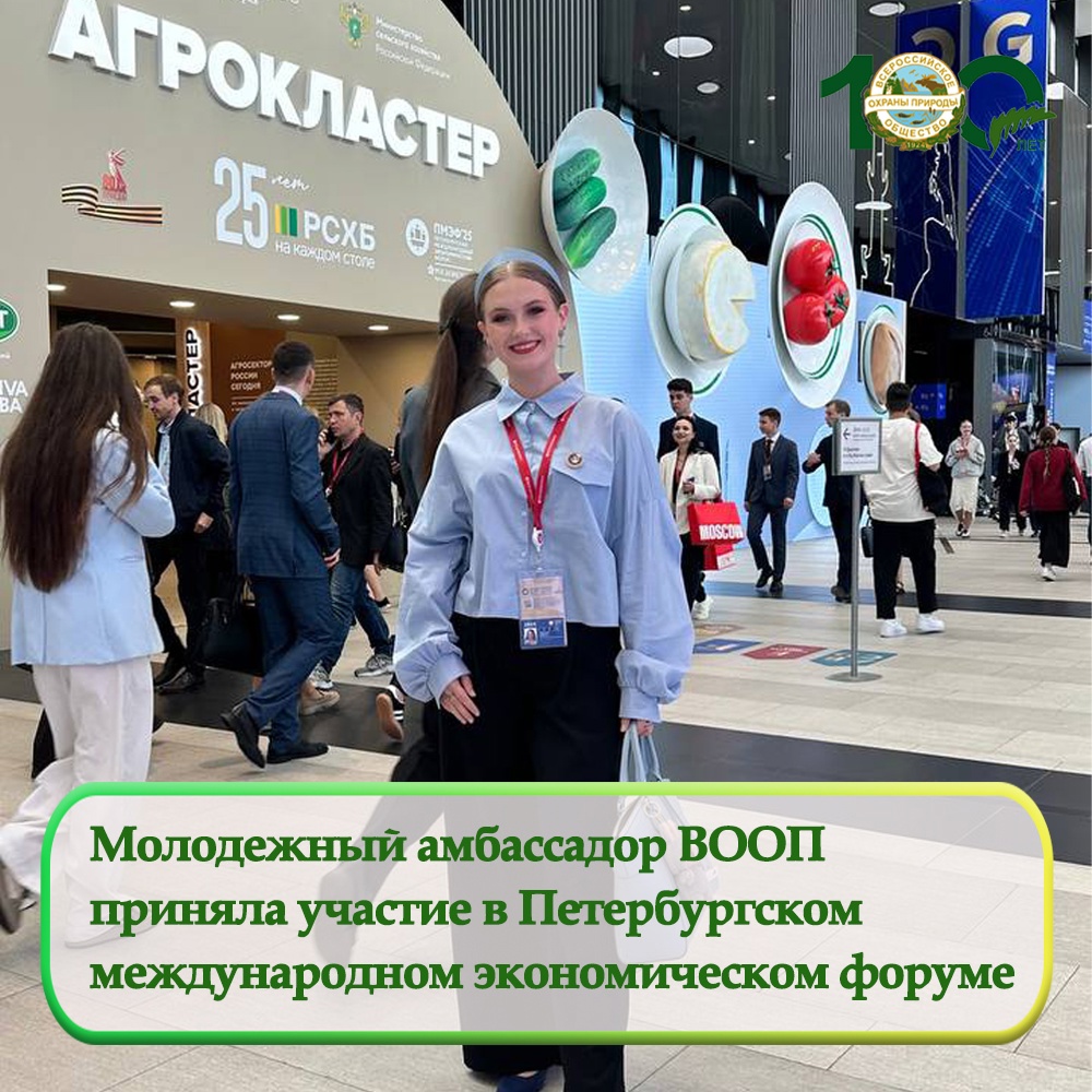 Алексаша Рогова приняла участие в Молодежном дне Петербургского международного экономического форума – 2025 Алексаша Рогова приняла участие в Молодежном дне Петербургского международного экономического форума – 2025