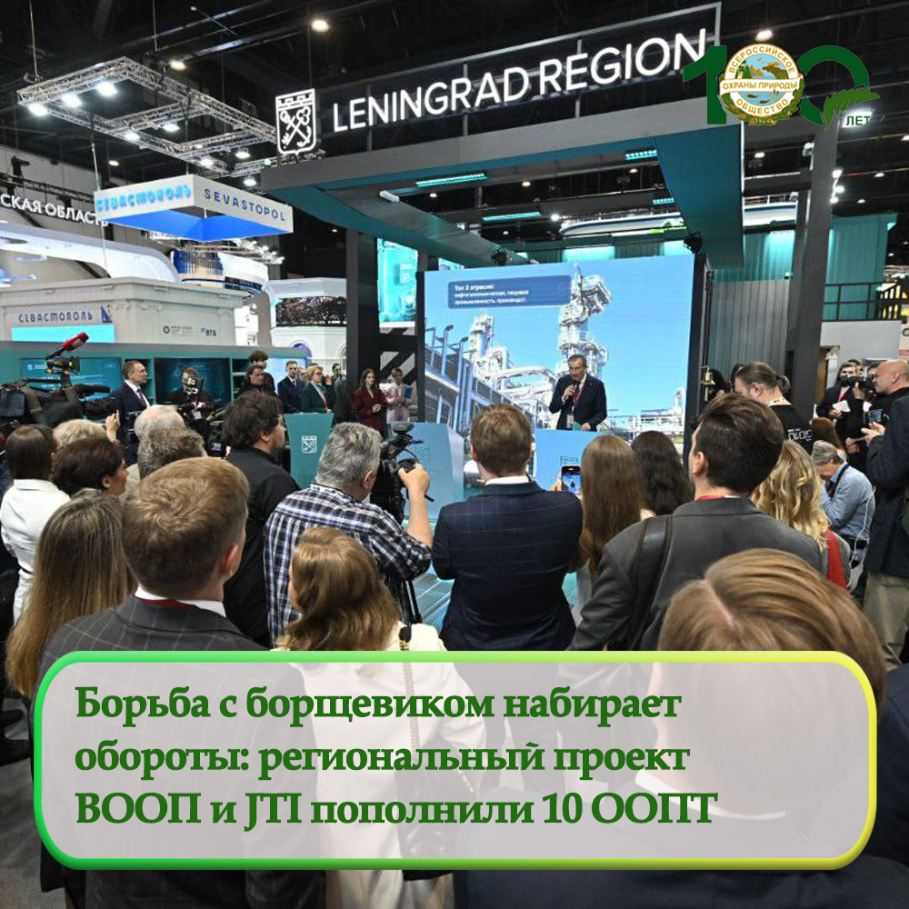 «Борщевик под контролем!»