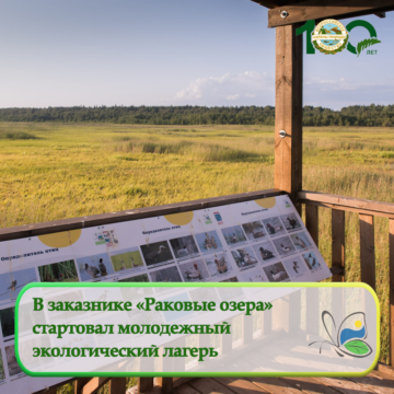 В заказнике «Раковые озера» стартовал молодежный экологический лагерь