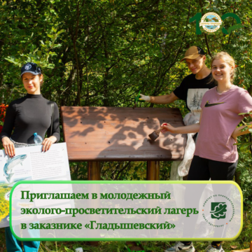 Приглашаем в молодежный эколого-просветительский лагерь