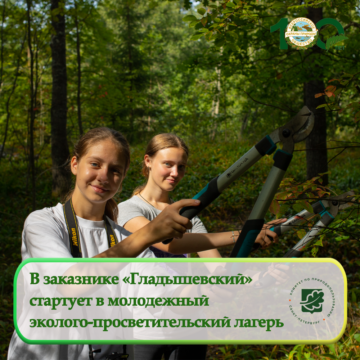 В заказнике «Гладышевский» стартует молодежный эколого-просветительский лагерь
