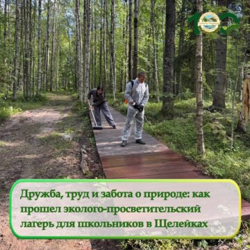 Как прошел эколого-просветительский лагерь в Щелейках